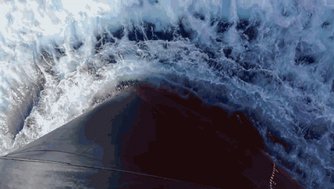 遠(yuǎn)洋十二時辰